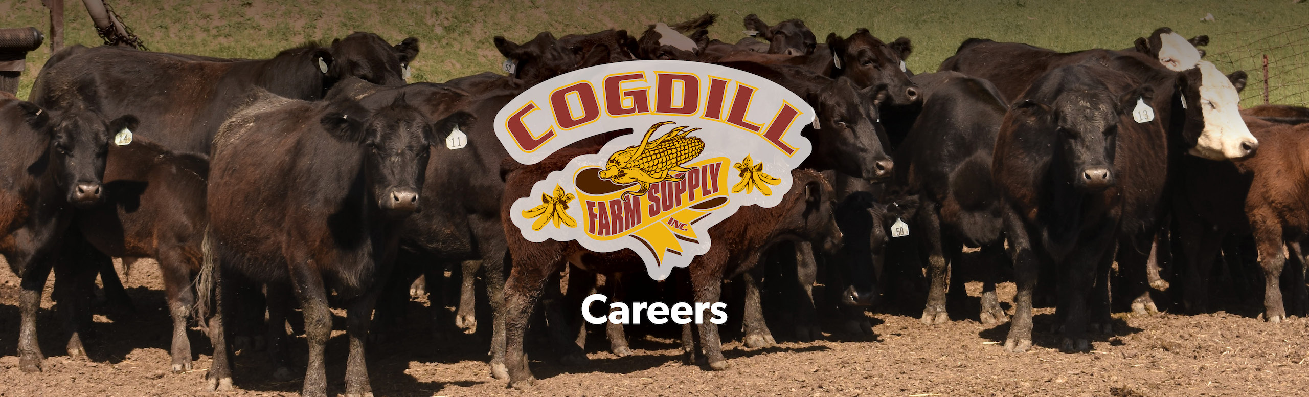 Cogdill Farm Supply Careers
